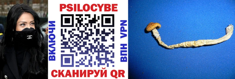 Купить  Джанкой  Галлюциногенные грибы мухоморы 